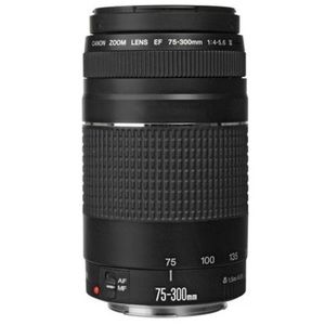 Canon 75-300mm EF zoom lens